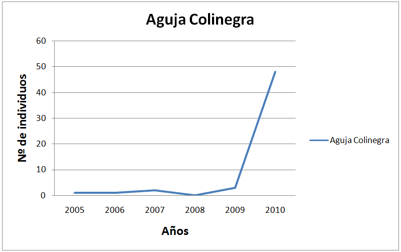 Aguja Colinegra